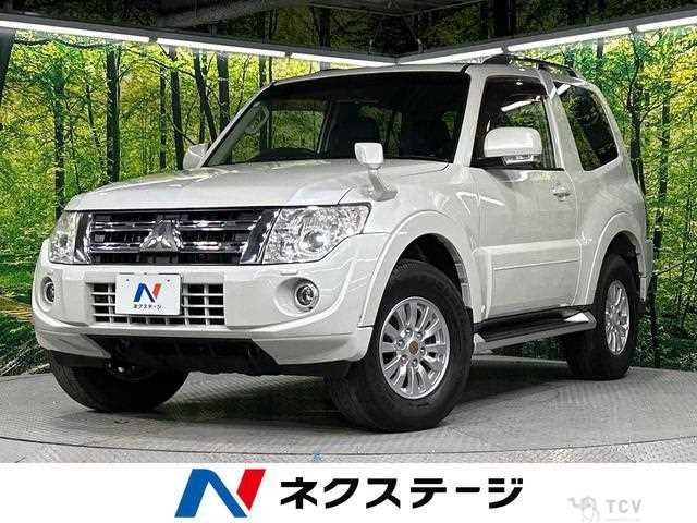 2013 Mitsubishi Pajero