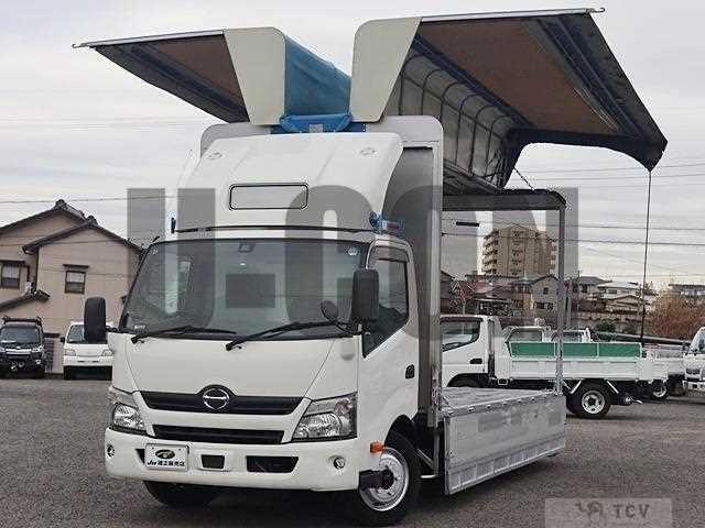 2019 Hino Dutro
