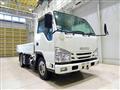 2019 Isuzu Elf Truck
