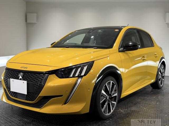 2021 Peugeot Peugoet Others