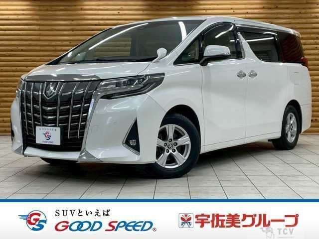 2019 Toyota Alphard G