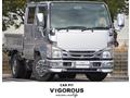 2009 Isuzu Elf Truck