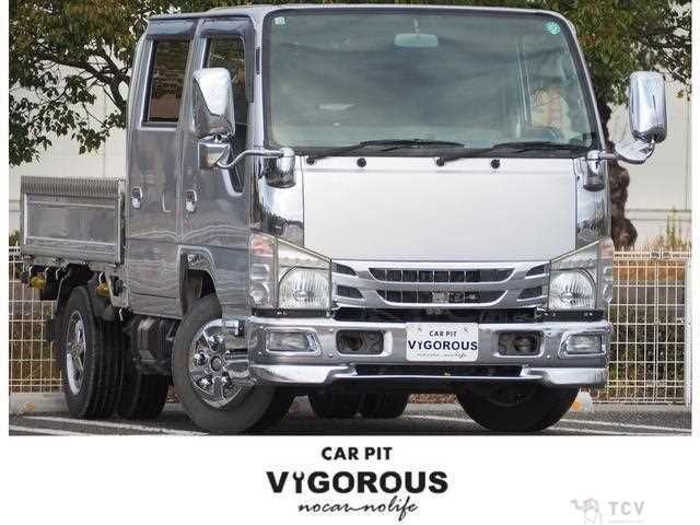 2009 Isuzu Elf Truck