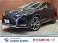 2021 Lexus RX