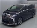 2022 Toyota Alphard G