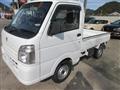 2019 Suzuki Carry Truck