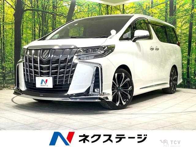 2019 Toyota Alphard G