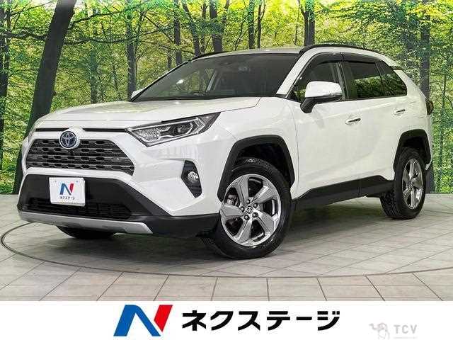 2020 Toyota RAV4
