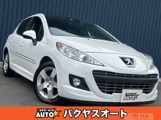 2010 Peugeot 207