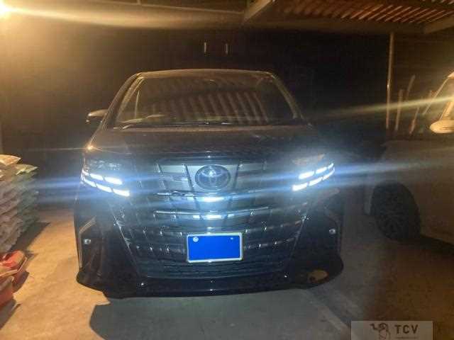 2024 Toyota Alphard G