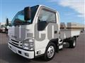 2020 Isuzu Elf Truck
