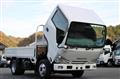 2016 Isuzu Elf Truck