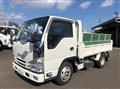 2019 Isuzu Elf Truck