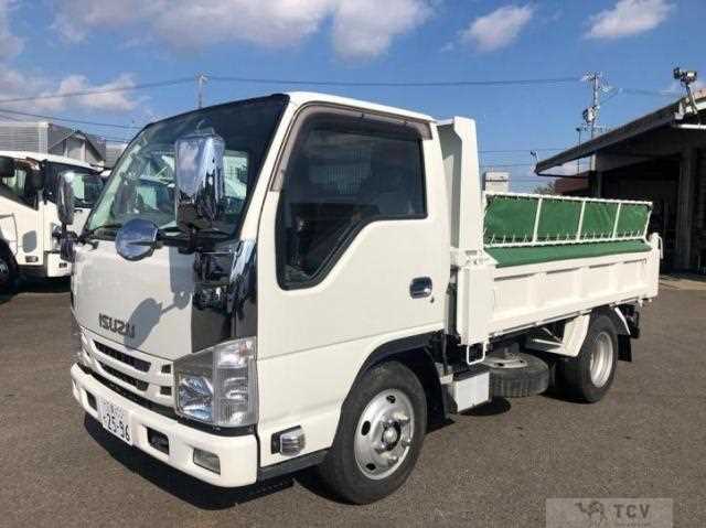 2019 Isuzu Elf Truck