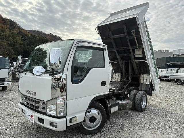 2019 Isuzu Elf Truck