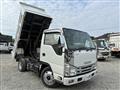 2019 Isuzu Elf Truck
