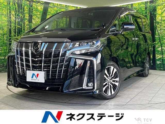 2019 Toyota Alphard G
