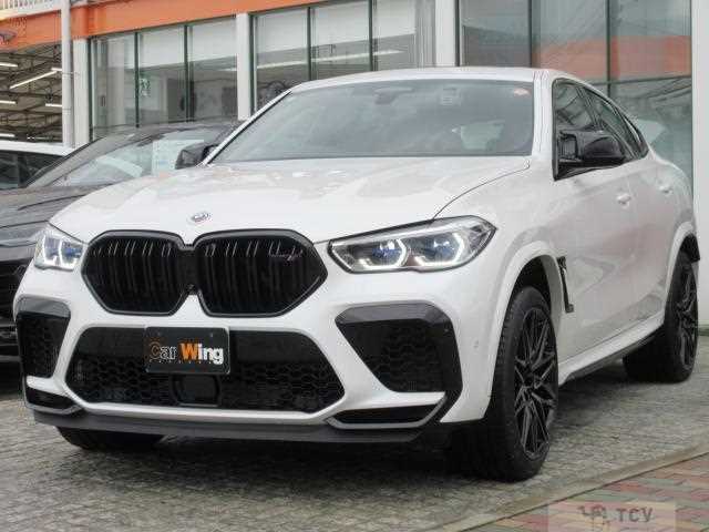 2025 BMW X6