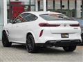 2025 BMW X6