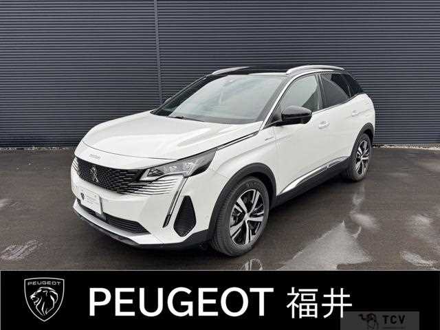 2024 Peugeot Peugoet Others
