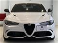 2019 Alfa Romeo Alfa Romeo Others