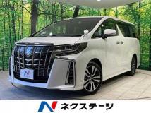 2019 Toyota Alphard G