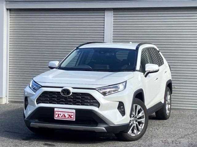 2020 Toyota RAV4