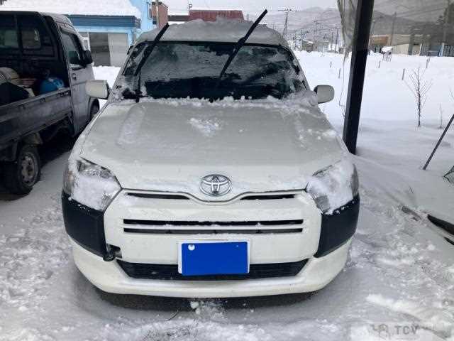 2017 Toyota Succeed Van