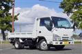 2017 Isuzu Elf Truck