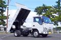 2017 Isuzu Elf Truck