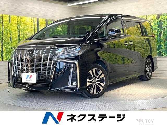 2019 Toyota Alphard G