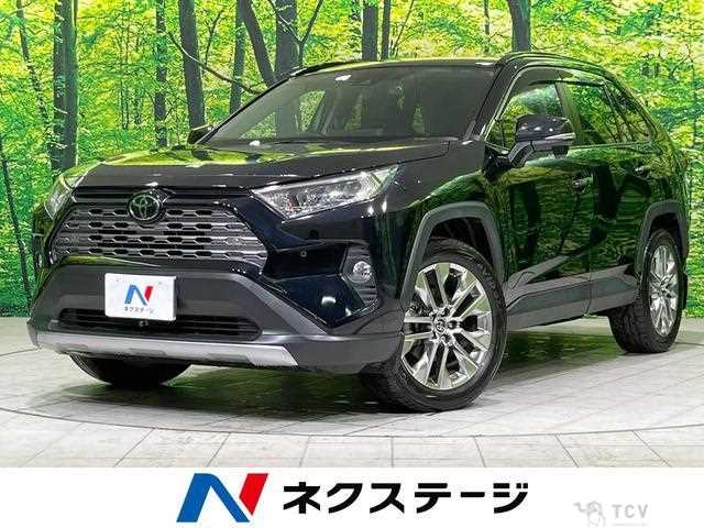 2020 Toyota RAV4