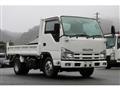 2010 Isuzu Elf Truck