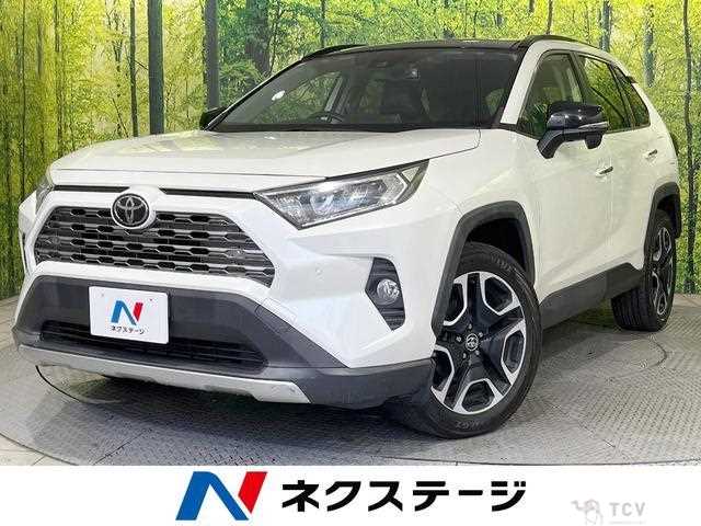 2019 Toyota RAV4