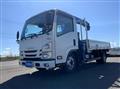 2019 Isuzu Elf Truck