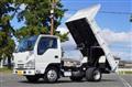 2017 Isuzu Elf Truck