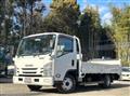 2019 Isuzu Elf Truck