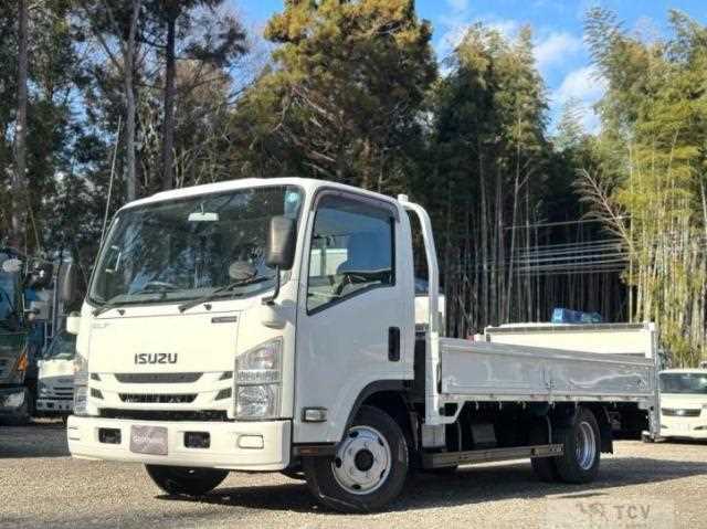 2019 Isuzu Elf Truck