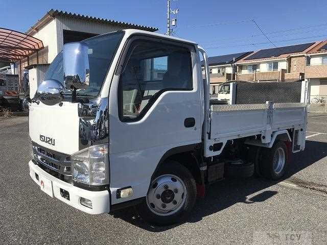 2017 Isuzu Elf Truck