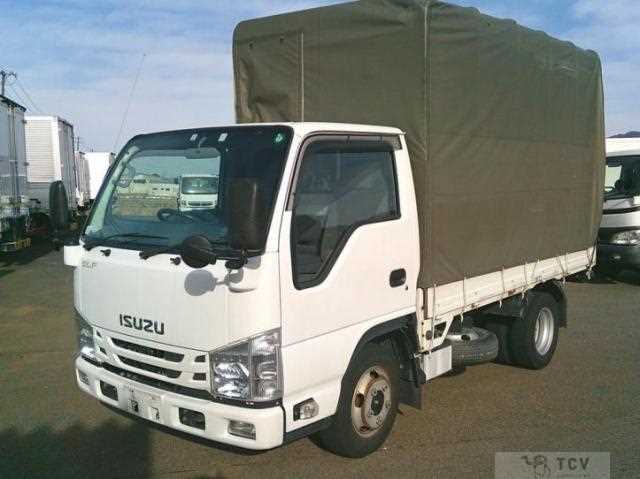 2018 Isuzu Elf Truck