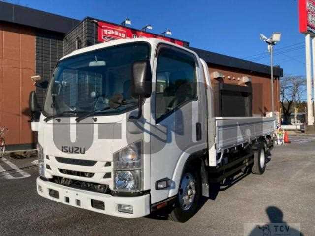 2020 Isuzu Elf Truck