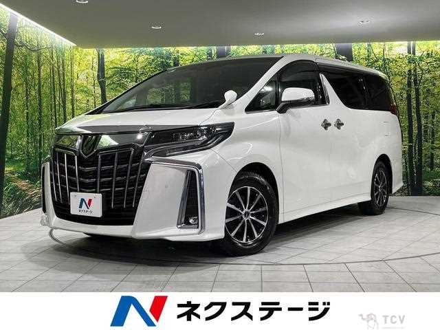 2019 Toyota Alphard G