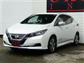 2019 Nissan Leaf