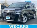 2019 Toyota Alphard G