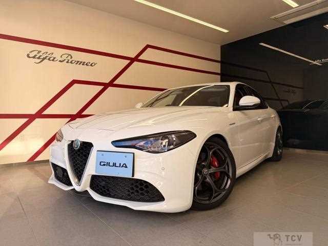 2020 Alfa Romeo Alfa Romeo Others