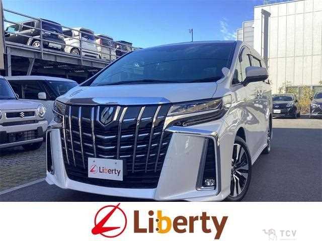 2019 Toyota Alphard G