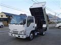 2017 Isuzu Elf Truck
