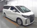 2020 Toyota Alphard G