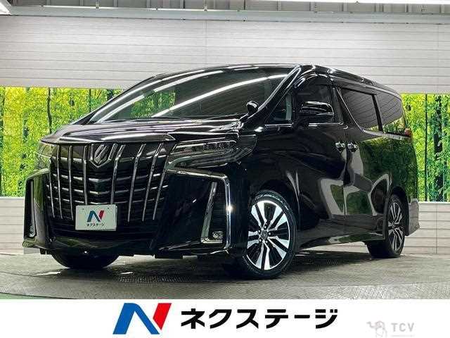 2019 Toyota Alphard G