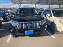 2019 Toyota Land Cruiser Prado